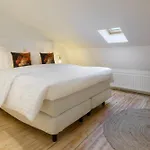 Our Bird\'S Nest In The Heart Of Antwerp